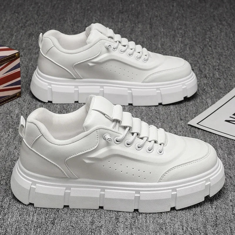 Oxford Sapato Masculino