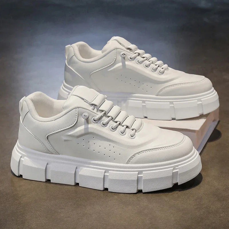 Oxford Sapato Masculino