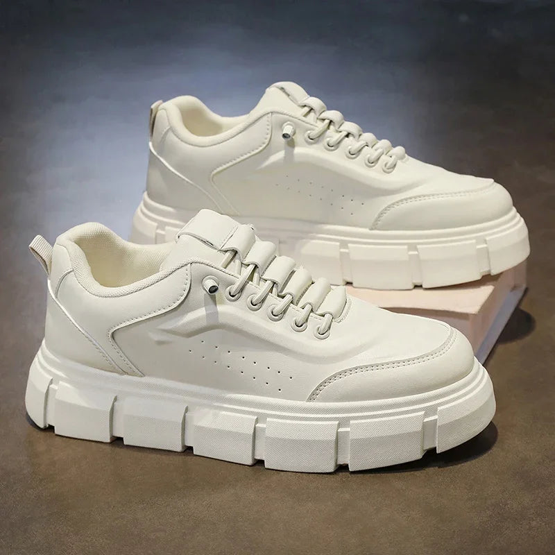 Oxford Sapato Masculino